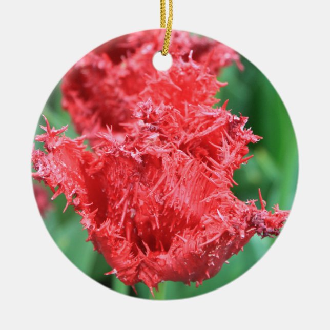 Adorno De Cerámica Tulip Ornament (Frente)