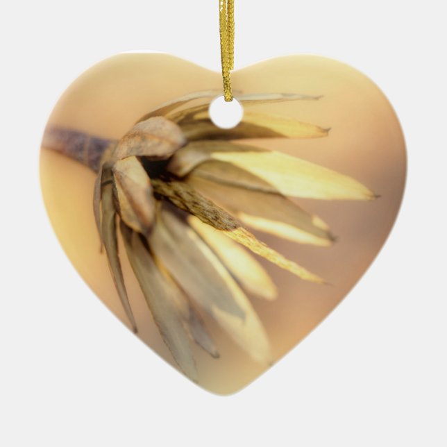 Adorno De Cerámica Tulip Poplar Empty Seed Pod (Frente)