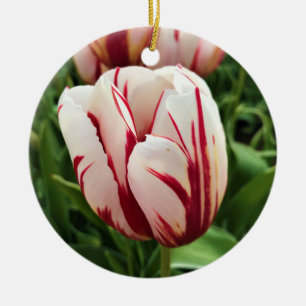 Adorno De Cerámica Tulipán de generación feliz, Oregón