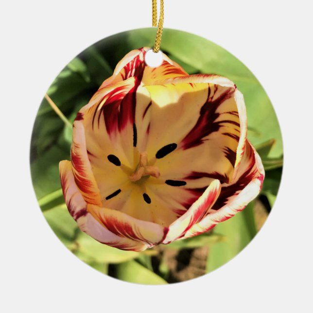 Adorno De Cerámica Tulipán rojo y blanco interno (Frente)