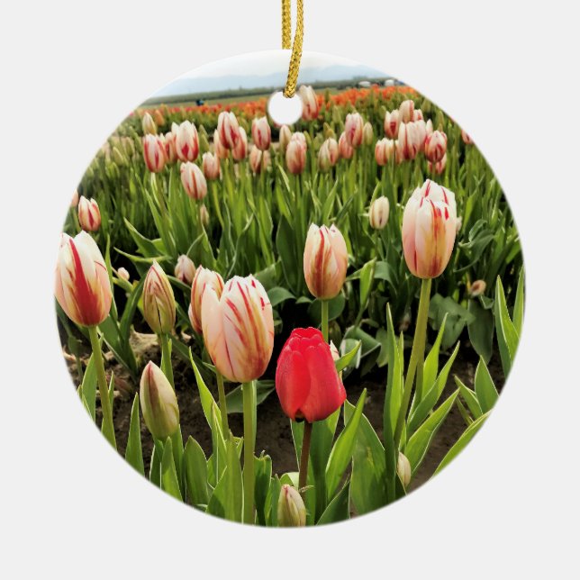 Adorno De Cerámica Tulipán rosa resaltando (Frente)