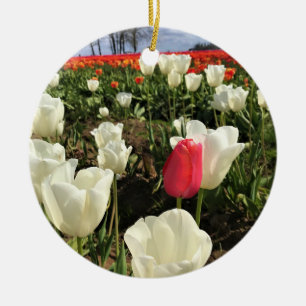 Adorno De Cerámica Tulipán rosado resaltando, Oregón