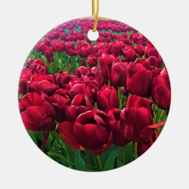 Adorno De Cerámica Tulipanes rojos en un campo, Oregón (Frente)