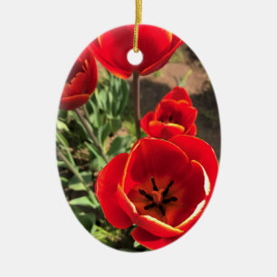 Adorno De Cerámica Tulipanes rojos internos