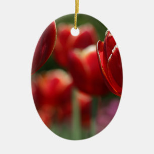 Adorno De Cerámica Tulipanos