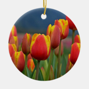 Adorno De Cerámica Tulips para mamá