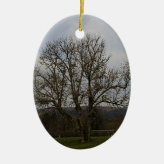 Adorno De Cerámica Un árbol viejo en el medio del patio y del jardín