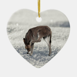 Adorno De Cerámica Un burro chiflado en la nieve