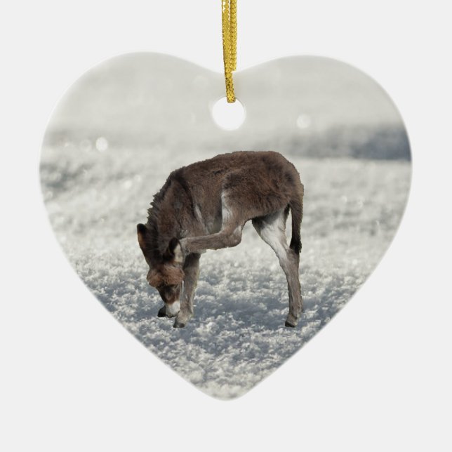 Adorno De Cerámica Un burro chiflado en la nieve (Frente)