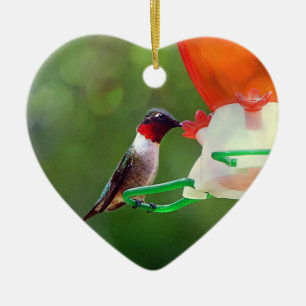 Adorno De Cerámica Un colibrí con trompetas de rubí
