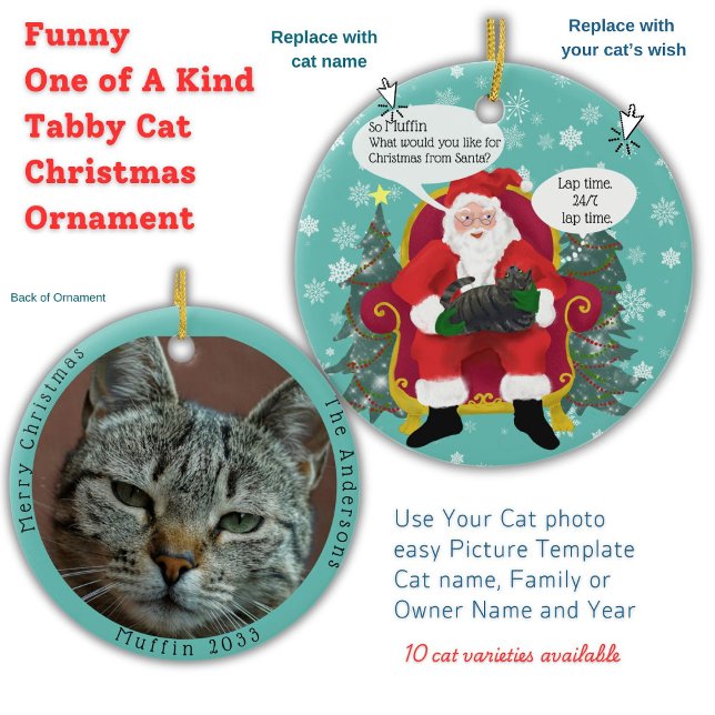 Adorno De Cerámica Un gato gracioso de Tabby visita Santa con una esp (Your Tabby cat gives Santa Paws Christmas wish list custom double sided photo template Ornament)