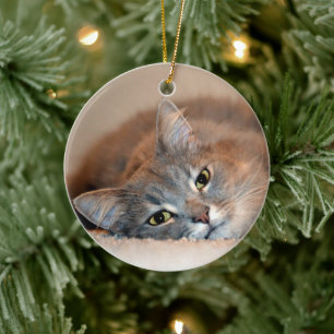 Adorno De Cerámica Un gato ruso azul y largamente haitiano por Shirle