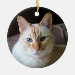 Adorno De Cerámica Un gato siamés de punto de llama con ojos azules