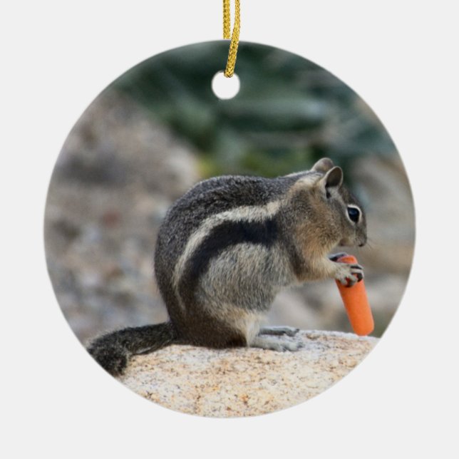 Adorno De Cerámica "¡Un ladrón y su botín!" (Frente)