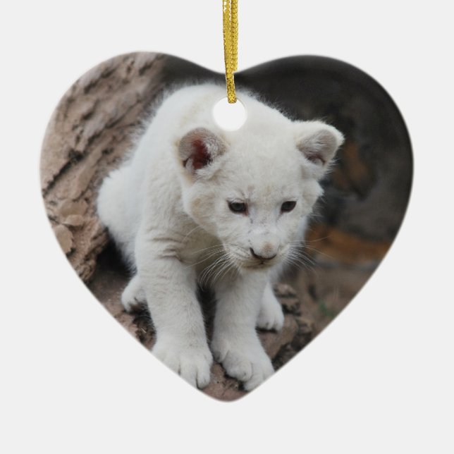 Adorno De Cerámica Un lindo bebé león blanco (Frente)