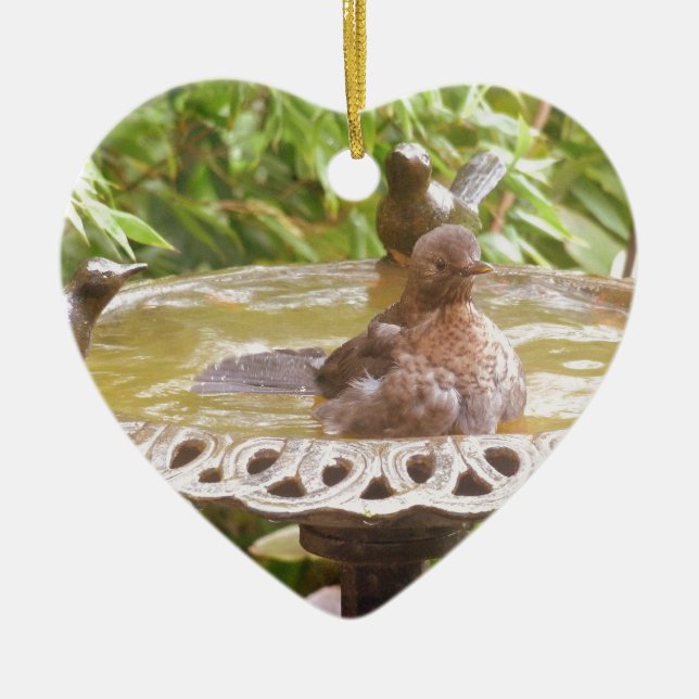 Adorno De Cerámica Un Pájaro En La Bañera (Frente)