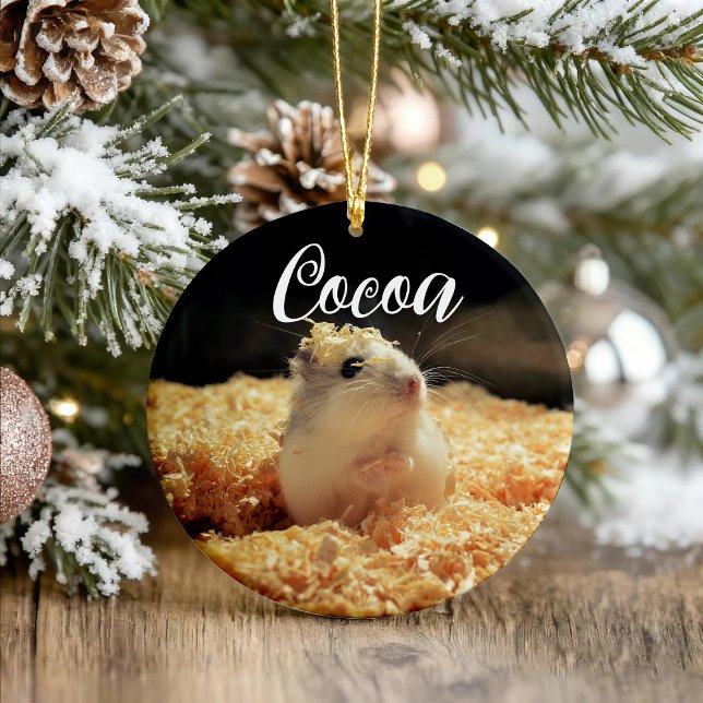 Adorno De Cerámica Un Regalo De Hamster Cute Para Los Amantes De Hams (Subido por el creador)