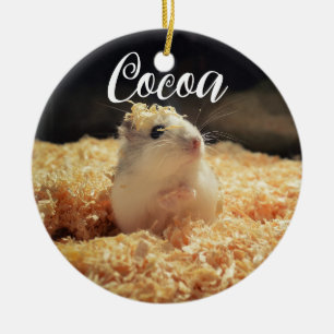Adorno De Cerámica Un Regalo De Hamster Cute Para Los Amantes De Hams