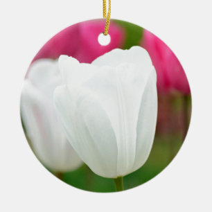 Adorno De Cerámica Un tulipán blanco
