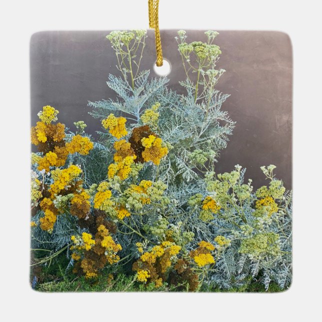 Adorno De Cerámica Una California floreciente: Catalina Silverlace (Anverso)