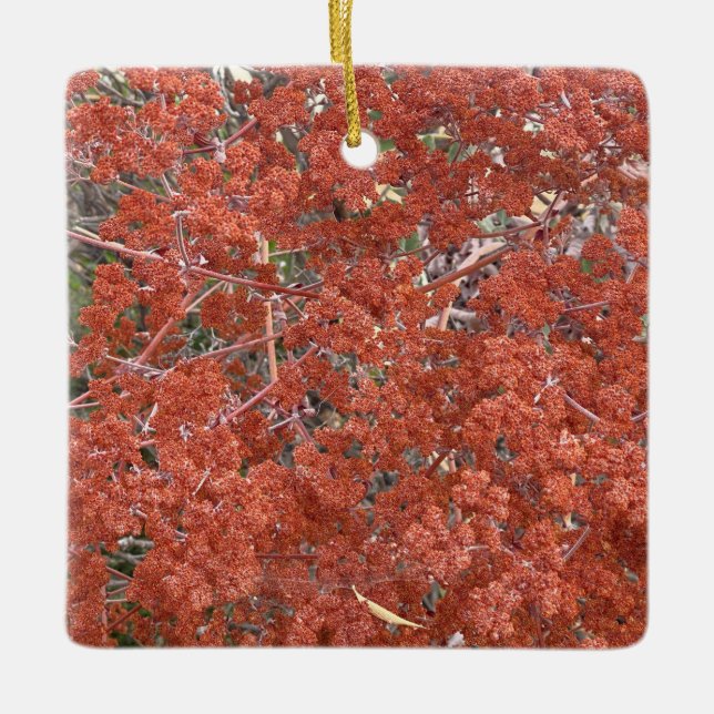 Adorno De Cerámica Una California floreciente: El encaje de St. Cathe (Anverso)