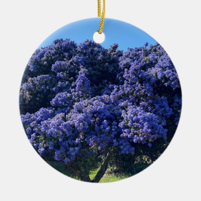 Adorno De Cerámica Una California floreciente: Lilac salvaje (Frente)