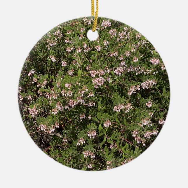 Adorno De Cerámica Una California floreciente: Manzanita (Frente)