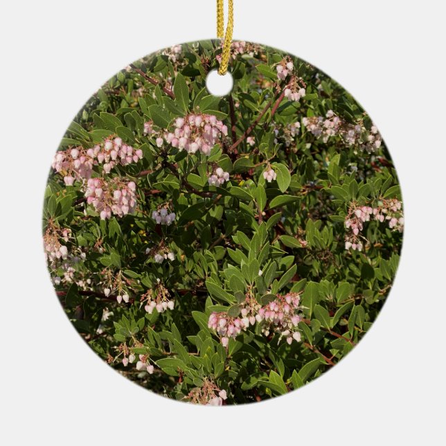 Adorno De Cerámica Una California floreciente: Manzanita (Frente)