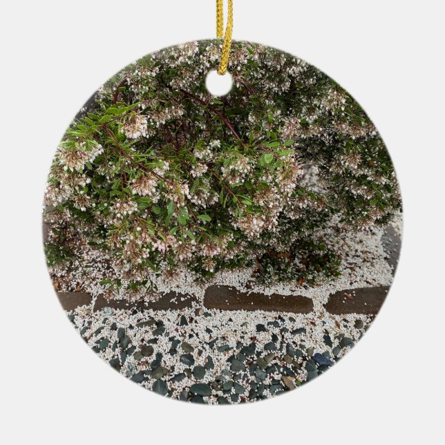 Adorno De Cerámica Una California floreciente: ¡Viva Manzanita! (Frente)