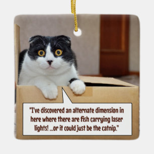 Adorno De Cerámica Una dimensión alternativa