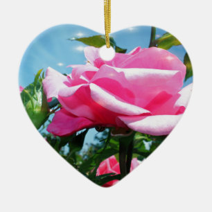 Adorno De Cerámica Una rosa rosa grandiosa en el cielo azul. Fotograf