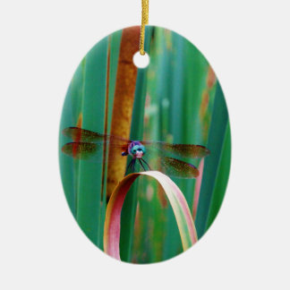Adorno De Cerámica Una verde azulada libélula teñida con collares