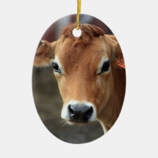 Adorno De Cerámica Usted no me piensa es vaca bonita del jersey