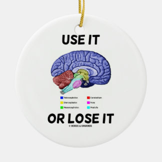 Adorno De Cerámica Utilícelo O Pierda (Humor De Anatomía Cerebral)
