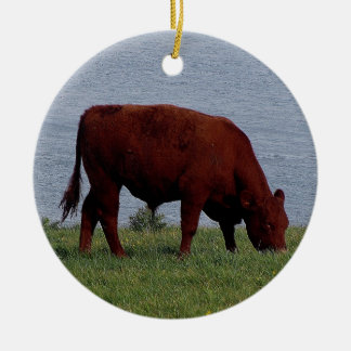 Adorno De Cerámica Vaca del sur de Devon en la costa costa alejada