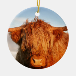 Adorno De Cerámica Vaca escocesa de la montaña - Escocia
