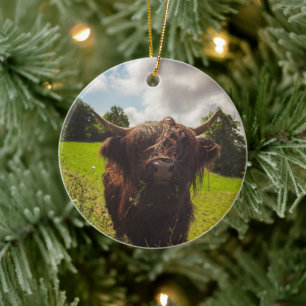 Adorno De Cerámica Vaca negra de tierras altas pastoreando verde luz 