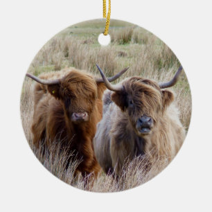 Adorno De Cerámica Vacas Highland de Escocia