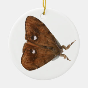 Adorno De Cerámica Vapourer Moth Ornament