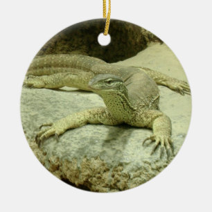 Adorno De Cerámica Varanus gouldii