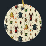 Adorno De Cerámica Variedades del escarabajo<br><div class="desc">Creado con una versión modificada de un chromolithograph 1891 del coleóptero del vintage.</div>