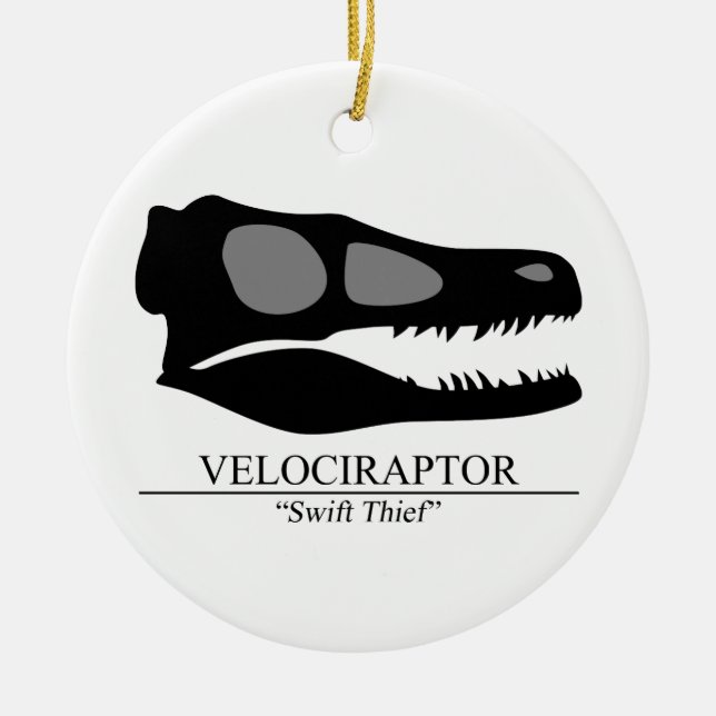 Adorno De Cerámica Velociraptor Skull (Frente)