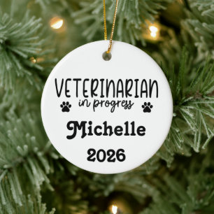 Adorno De Cerámica Veterinario Personalizado En Progreso 
