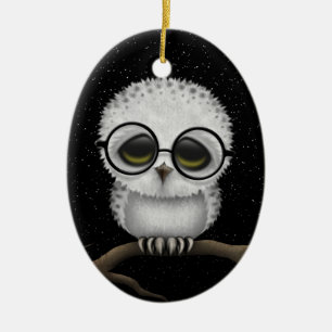 Adorno De Cerámica Vidrios que llevan del bebé del búho lindo Nevad