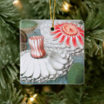 Adorno De Cerámica Vintage Waterlily Flowers, Waterlilies in a Pond<br><div class="desc">Vintage illustration botanical nature design featuring pink and white waterlily flowers floating in a pond.</div>