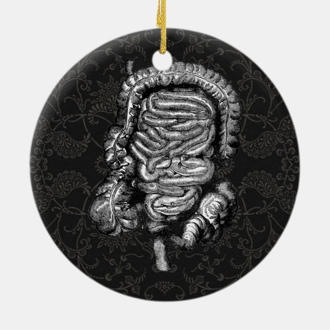 ADORNO DE CERÁMICA VINTAJE DE DIAGRAMA DE INTESTINAS (Atrás)