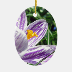 Adorno De Cerámica Violet Spring Crocus