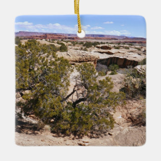 Adorno De Cerámica Vista de Canyonlands desde Cave Springs Trail