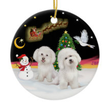 Vuelo Nocturno - Dos Bichon Frise