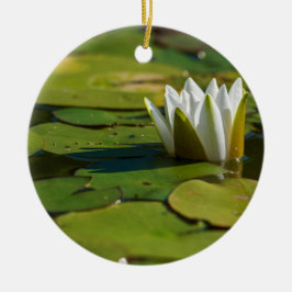 Adorno De Cerámica Water Lily Blossom